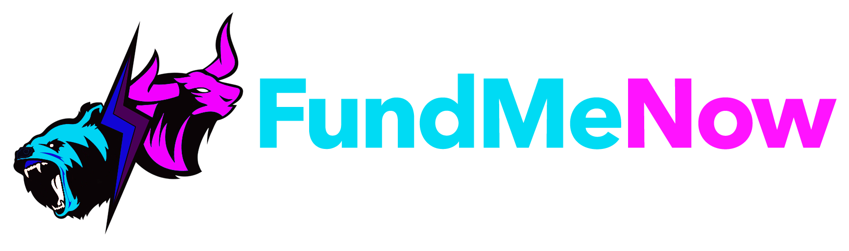 Logo Fund Me Now Fx